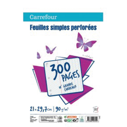 Feuillets mobiles perfores A4 300pages 90g Seyes Carrefour